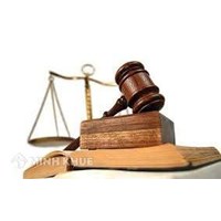 Hành vi nhổ cây ở vỉa hè bị xử phạt như thế nào ?