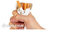 Mẫu báo cáo tình hình chế biến nguyên liệu thuốc lá, tình hình thực hiện sản xuất xuất khẩu, gia công xuất khẩu nguyên liệu thuốc lá