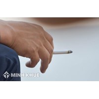 Đơn đề nghị cấp giấy chứng nhận đủ điều kiện đầu tư trồng cây thuốc lá