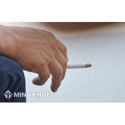Đơn đề nghị cấp giấy chứng nhận đủ điều kiện đầu tư trồng cây thuốc lá