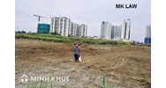 Các tình huống tranh chấp đất đai phổ biến nhất hiện nay?