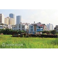 Tư vấn về mượn đất để canh tác nhưng không trả ?