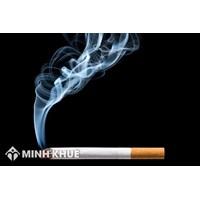 Mẫu báo cáo hiện trạng máy móc, thiết bị chuyên ngành thuốc lá  
