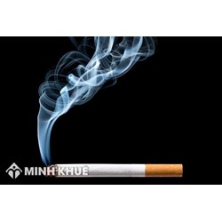 Mẫu báo cáo hiện trạng máy móc, thiết bị chuyên ngành thuốc lá  