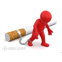 Mẫu báo cáo tình hình kinh doanh của thương nhân phân phối sản phẩm thuốc lá (phụ lục 69)