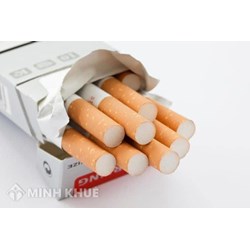 Mẫu biên bản kiểm tra hoạt động sản xuất, kinh doanh thuốc lá (phụ lục 73)