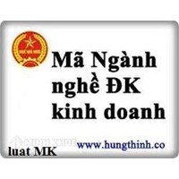 Mã nghành, vốn pháp định và chứng chỉ hành nghề kinh doanh?