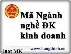 Mã nghành, vốn pháp định và chứng chỉ hành nghề kinh doanh?