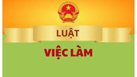 Phân biệt đối xử trong lao động là gì? Gồm những hành vi nào?