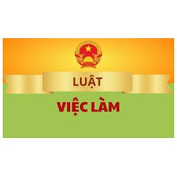 Phân biệt đối xử trong lao động là gì? Gồm những hành vi nào?