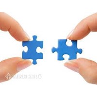 Mẫu quyết định cho phép hợp nhất hội (Mẫu số 8)