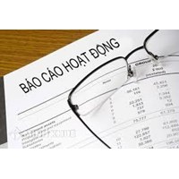 Mẫu báo cáo hoạt động hội (Mẫu số 11)