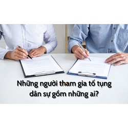 Ủy quyền cho người khác thực hiện tố tụng dân sự tại Tòa án?