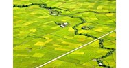 Dồn điền đổi thửa ruộng canh tác thực hiện thế nào?