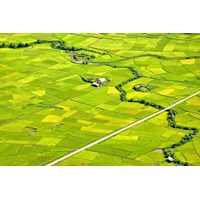 Dồn điền đổi thửa ruộng canh tác thực hiện thế nào?