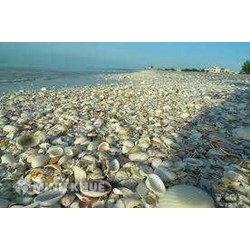 Nhập khẩu phế liệu thì thủ tục và thuế suất như thế nào ?