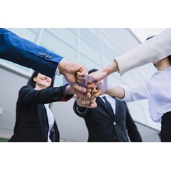 Mẫu báo cáo đầu tư, sổ theo dõi đầu tư vào các công ty con, công ty liên kết