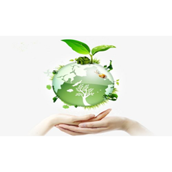 Mẫu báo cáo đánh giá môi trường chiến lược của Bộ và UBND tỉnh