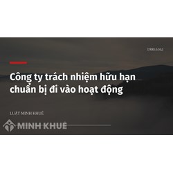 Công ty trách nhiệm hữu hạn chuẩn bị đi vào hoạt động ?