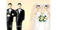 Pháp luật không thừa nhận hôn nhân đồng giới ra sao ?