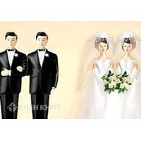 Pháp luật không thừa nhận hôn nhân đồng giới ra sao ?