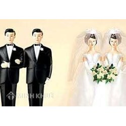 Pháp luật không thừa nhận hôn nhân đồng giới ra sao ?
