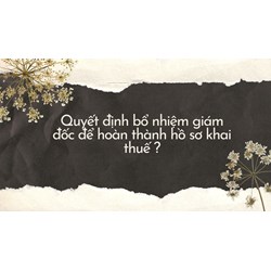 Quyết định bổ nhiệm giám đốc để hoàn thành hồ sơ khai thuế ?