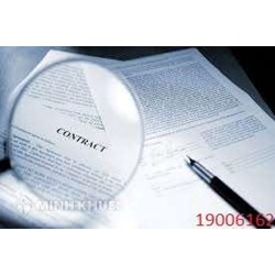 Công ty không ký hợp đồng lao động ?
