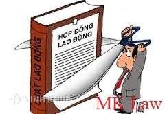 Khi sáp nhập doanh nghiệp người lao động ký hợp đồng không chính thức có được tiếp tục làm vệc ?