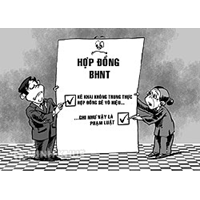 Không đóng bảo hiểm có bị cắt hợp đồng không ?