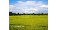 Quyền định đoạt tài sản của chủ sở hữu?