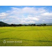 Quyền định đoạt tài sản của chủ sở hữu?