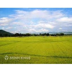 Quyền định đoạt tài sản của chủ sở hữu?