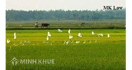 Tội vu khống, bôi nhọ danh dự, hạ thấp uy tín cá nhân, Doanh nghiệp?