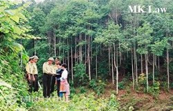 Thủ tục cấp giấy chứng nhận quyền sử dụng đất cho đất rừng ?