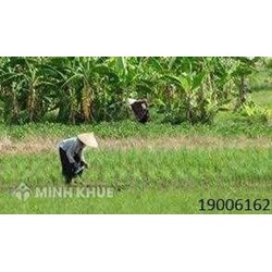 Phân biệt đất ở và đất vườn theo quy định của luật đất đai?