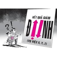 Mẫu biên bản bàn giao đối tượng giám định có quyết định trưng cầu (Mẫu số 3) 