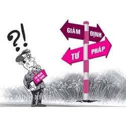 Mẫu biên bản giám định pháp y tâm thần dùng cho giám định theo trưng cầu (Mẫu số 4)