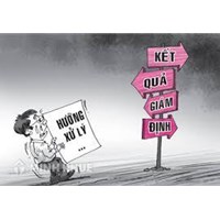 Mẫu kết luận giám định pháp y tâm thần dùng cho giám định theo yêu cầu (Mẫu 12) 