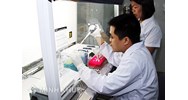 Mẫu biên bản xác minh đối tượng giám định (Mẫu 13)