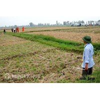 Tư vấn về dồn điền đổi thửa ?