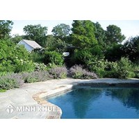 Giải quyết tranh chấp đất đai không có Giấy chứng nhận quyền sử dụng đất ?