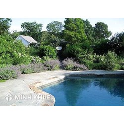 Giải quyết tranh chấp đất đai không có Giấy chứng nhận quyền sử dụng đất ?
