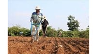 Hình thức sử dụng đất là gì? Có mấy hình thức sử dụng đất?