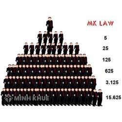 Thẩm quyền xử phạt vi phạm của công an kinh tế đối với hành vi bán hàng đa cấp?