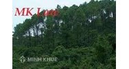 Quản lí rừng tài nguyên và đất lâm nghiệp.