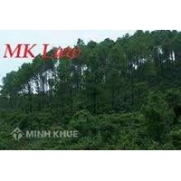 Quản lí rừng tài nguyên và đất lâm nghiệp.