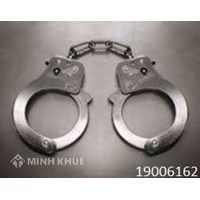 Tư vấn về hành vi công nhiên chiếm đoạt xe máy ?