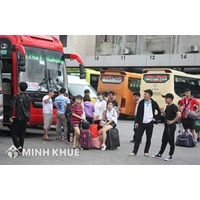 Không có giấy đăng ký kinh doanh vận tải có bị xử phạt không?