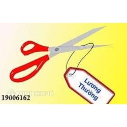 Cho nhân viên ngừng việc không trả lương là đúng hay sai ?